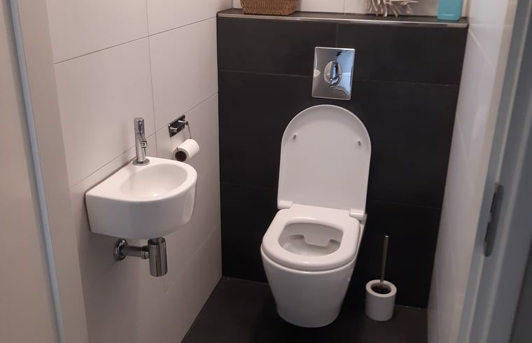 Net toilet in Vakantiehuis in De Pollen, Vriezenveen, Twente, met strakke afwerking.