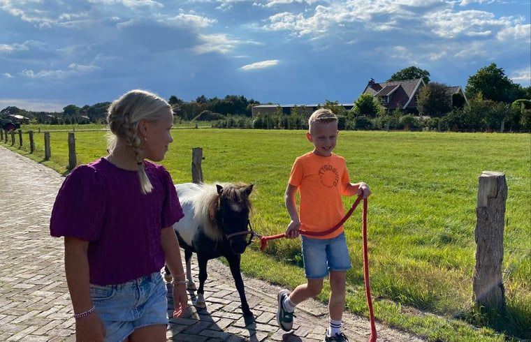 Geniessen Sie die laendliche Umgebung im Huisje in Langeveen, einem Ferienhaus in Twente, Overijssel, mit Kindern und einem Pony auf einem sonnigen Weg.
