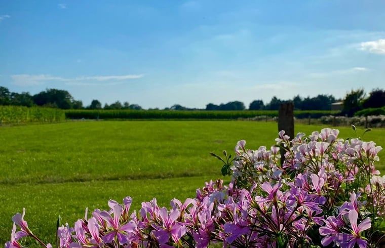 Unterkunft 527501 - Ferienhaus Twente - Huisje in Langeveen