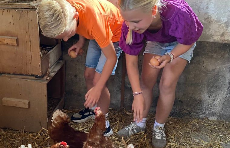 Unterkunft 527501 - Ferienhaus Twente - Huisje in Langeveen
