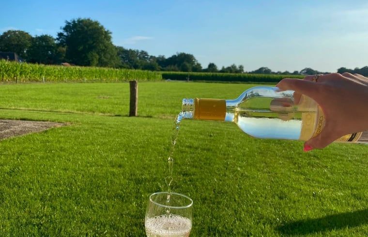 Unterkunft 527501 - Ferienhaus Twente - Huisje in Langeveen