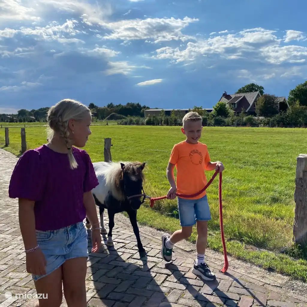 Unterkunft 527502 - Ferienhaus Twente - Iemhoeve