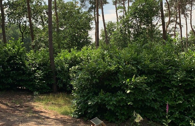 Unterkunft 5302100 - Ferienhaus Salland - Huisje in Holten