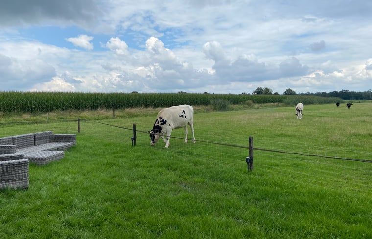 Unterkunft 5302120 - Ferienhaus Salland - Vakantiehuis in Holten