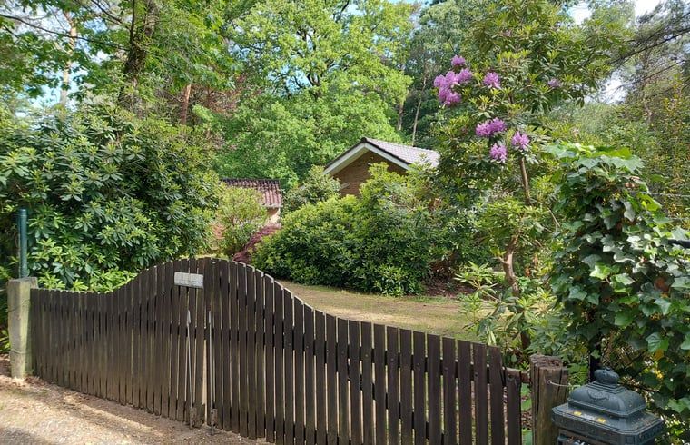 Ferienhaus in Holten, umgeben von gruener Natur und bluehenden Straeuchern in Salland, Overijssel.