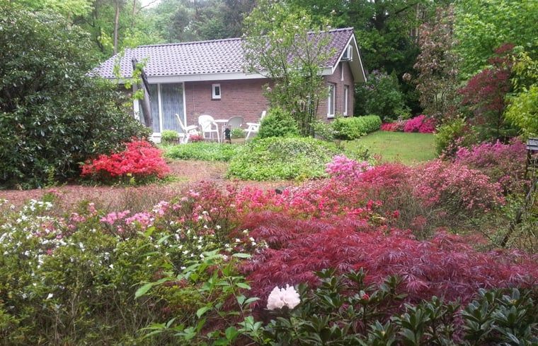Ferienhaus in Holten, gelegen in der gruenen Natur von Salland, Overijssel, umgeben von bunten Blumen und einem ueppigen Garten.