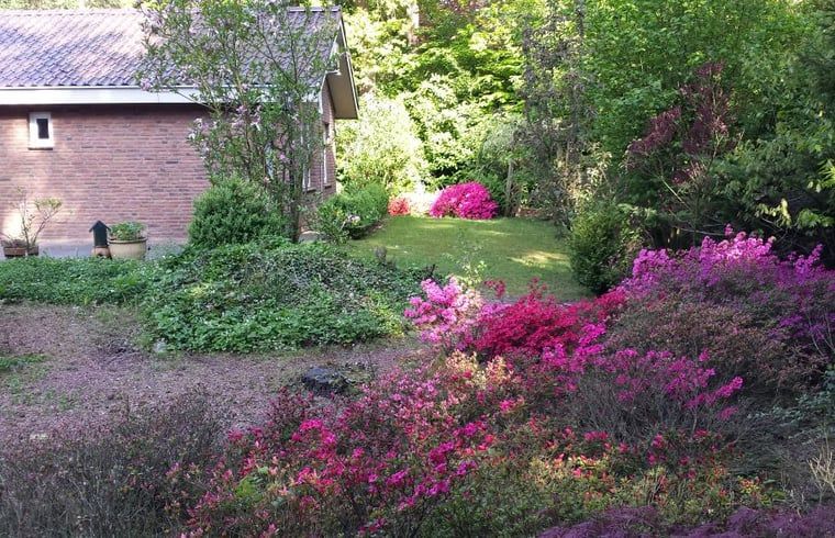 Entdecken Sie den ruhigen Garten des Ferienhauses in Holten, ein idyllisches Ferienhaus in der gruenen Landschaft von Salland, Overijssel.