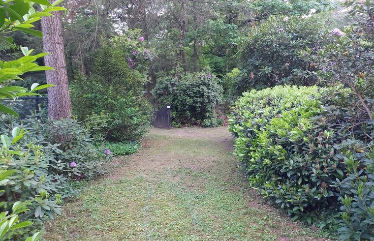 Unterkunft 5302136 - Ferienhaus Salland - Vakantiehuisje in Holten