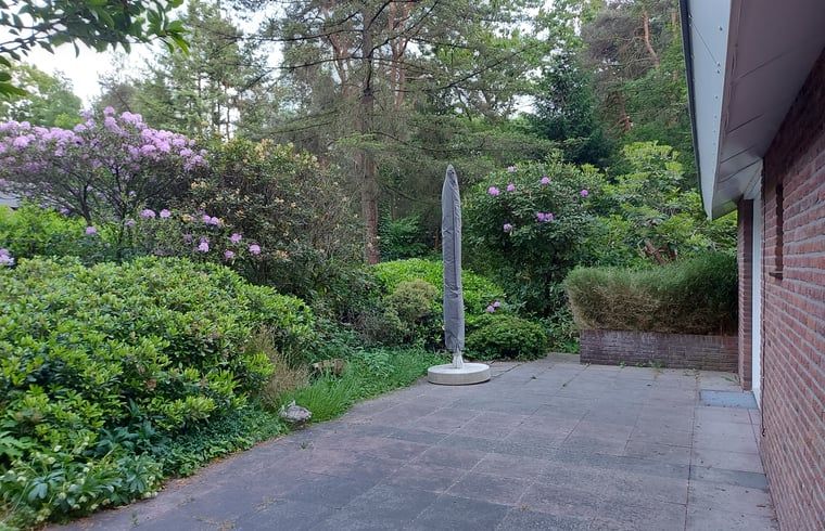 Unterkunft 5302136 - Ferienhaus Salland - Vakantiehuisje in Holten