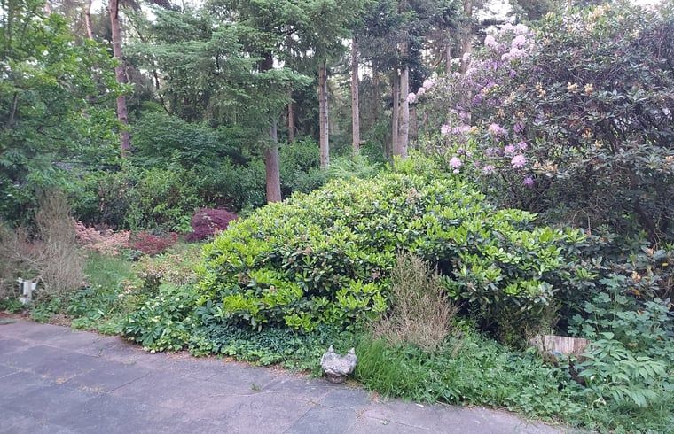 Unterkunft 5302136 - Ferienhaus Salland - Vakantiehuisje in Holten