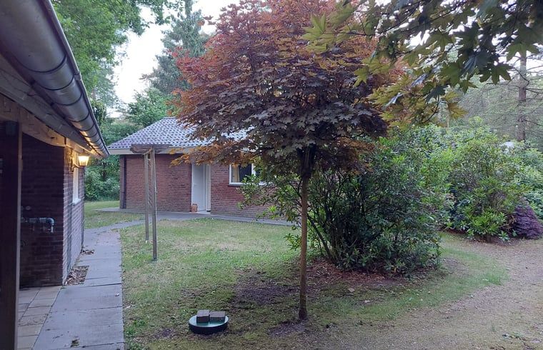 Unterkunft 5302136 - Ferienhaus Salland - Vakantiehuisje in Holten