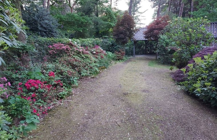 Unterkunft 5302136 - Ferienhaus Salland - Vakantiehuisje in Holten