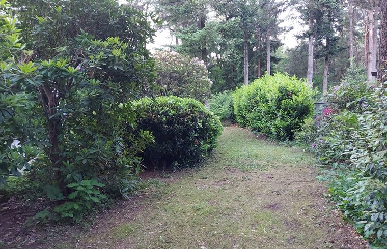 Unterkunft 5302136 - Ferienhaus Salland - Vakantiehuisje in Holten