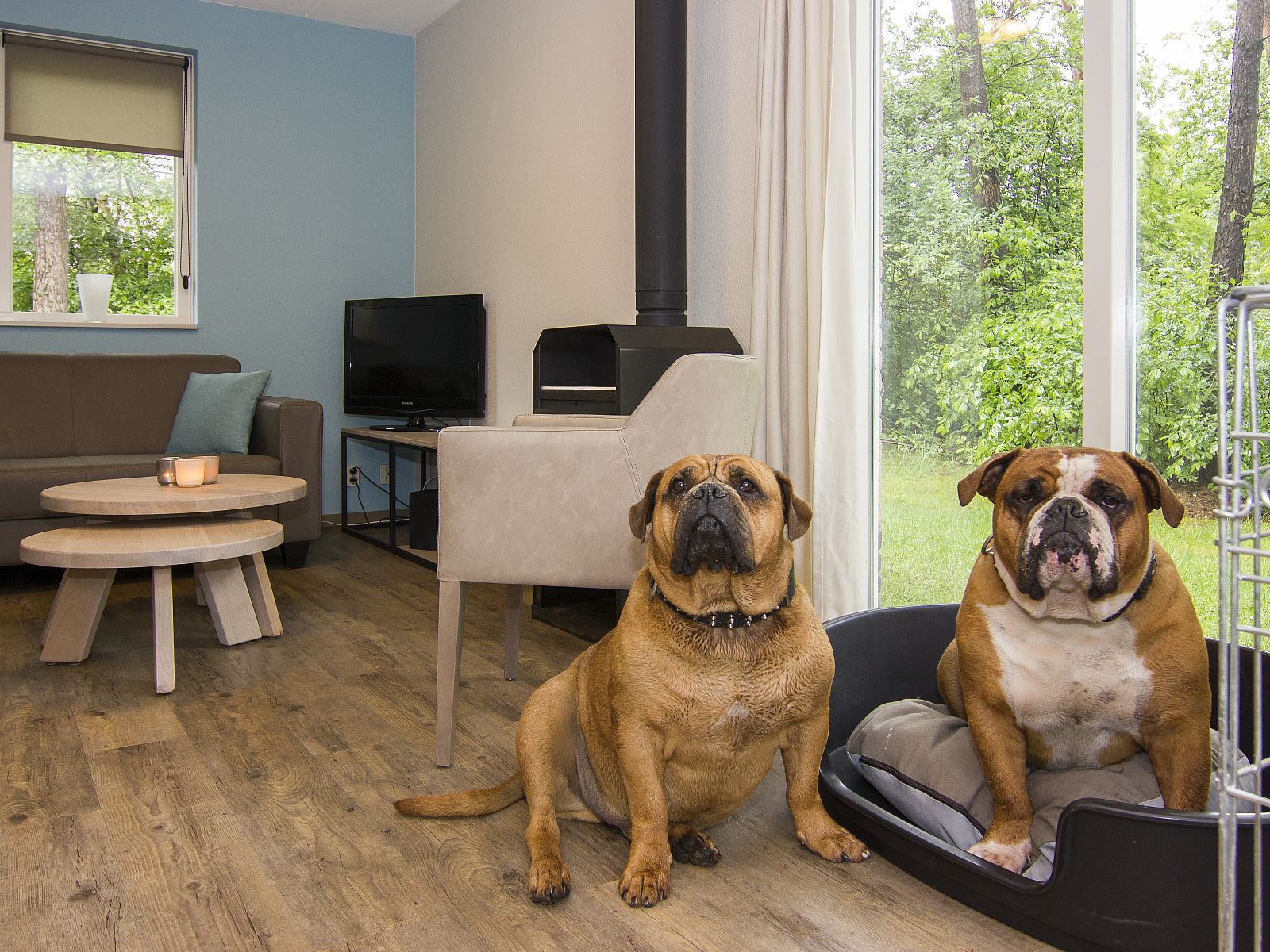 Unterkunft 5302143 - Bungalow Salland - Twenhaarsveld | 6-persoons hondenbungalow | 6CD