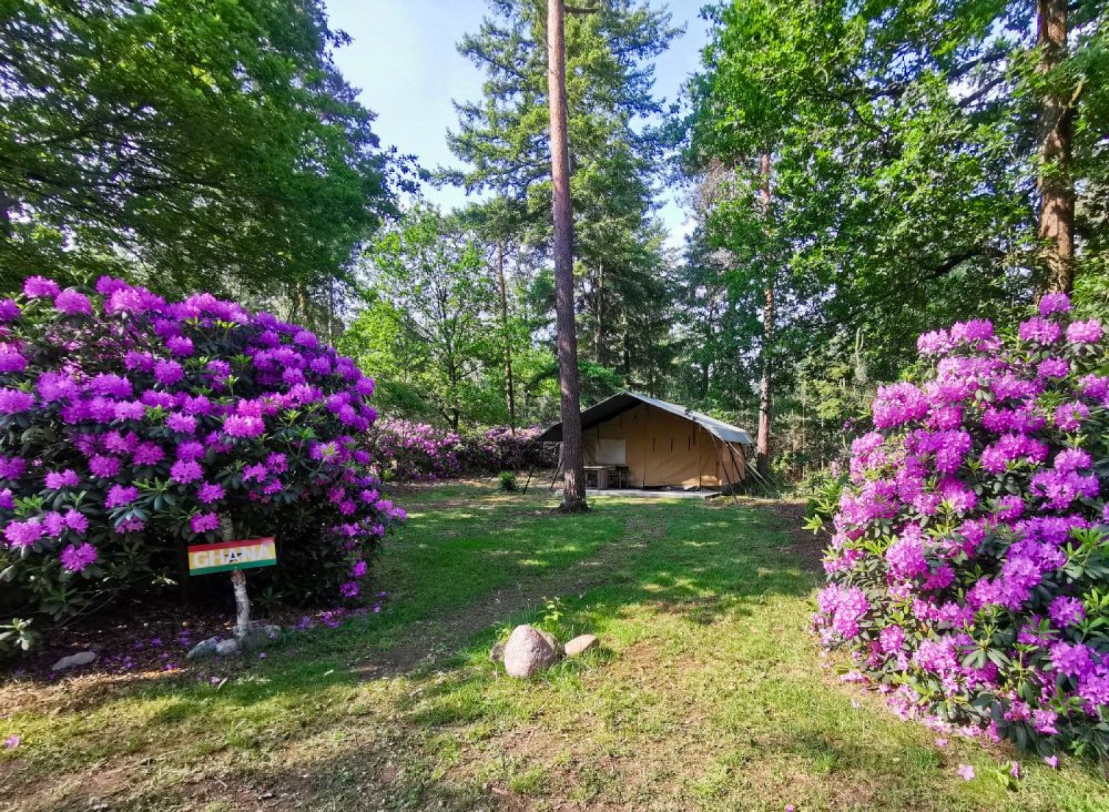 Unterkunft 5302160 - Zelthaus Salland - Romantic Safaritent met bad