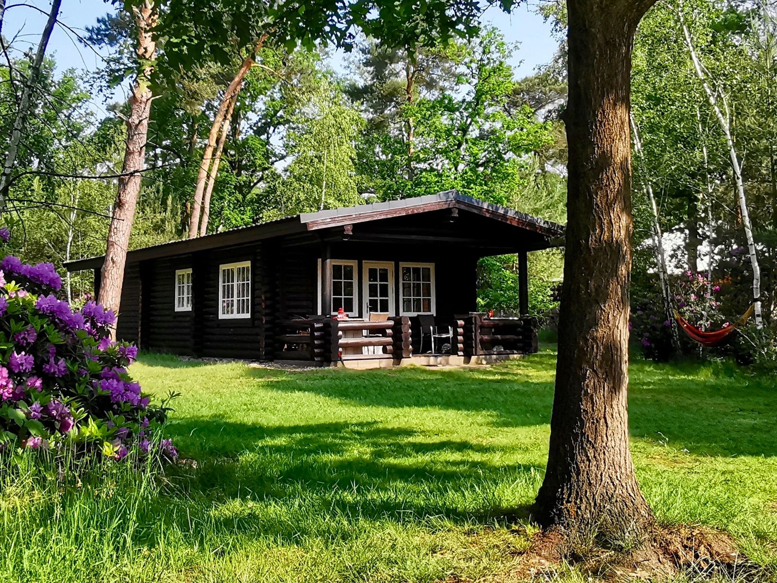 Guest house 5302164 - Holiday property Salland - Family Lodge met bad