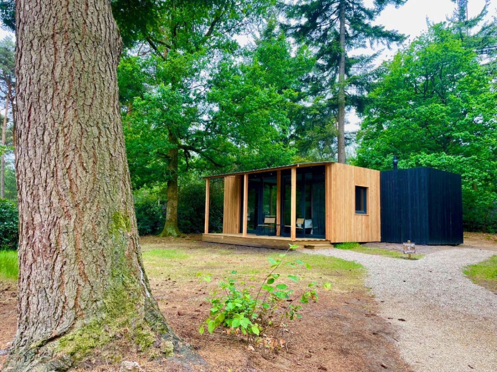 Verblijf 5302167 - Vakantiewoning Salland - Forest Cabin