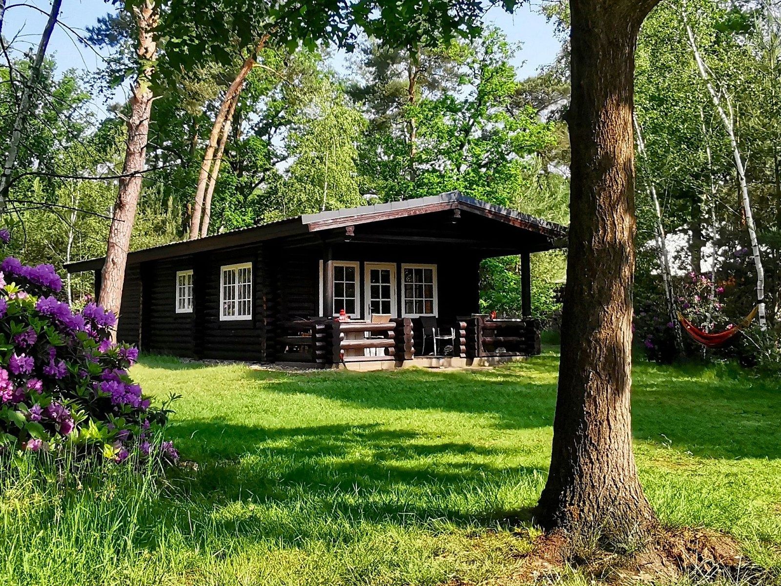 Unterkunft 5302170 - Ferienhaus Salland - Vakantiehuis Outdoors Holten - Family Lodge met bad & hottub