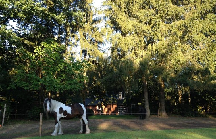 Unterkunft 530241 - Ferienhaus Salland - Vakantiehuisje in Holten