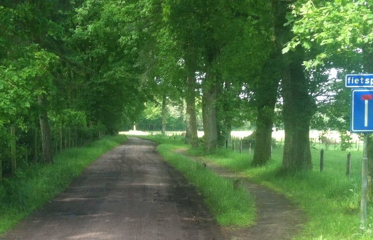 Unterkunft 530241 - Ferienhaus Salland - Vakantiehuisje in Holten
