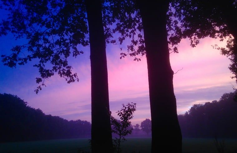 Unterkunft 530241 - Ferienhaus Salland - Vakantiehuisje in Holten