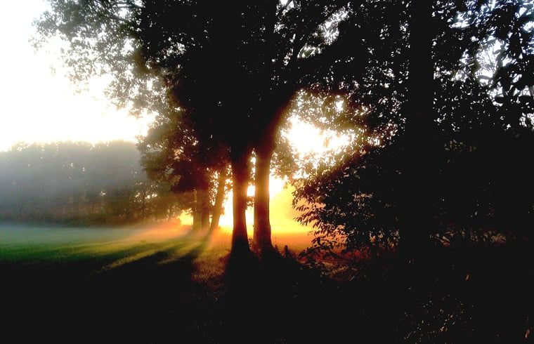 Unterkunft 530241 - Ferienhaus Salland - Vakantiehuisje in Holten