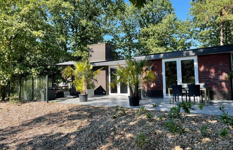 Geniet van de rust in het Huisje in Holten, een sfeervol vakantiehuis in Salland, Overijssel met een ruim terras omgeven door natuur.