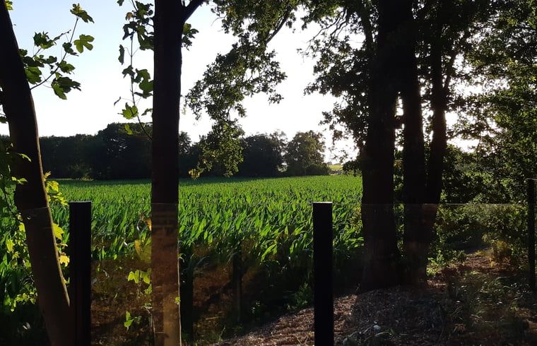 Geniet van het prachtige uitzicht op de groene velden vanuit Huisje in Holten, een vakantiehuis in het serene Salland, Overijssel.
