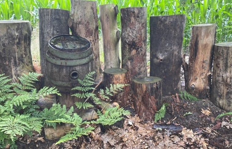 Verblijf 530254 - Vakantiewoning Salland - Huisje in Holten