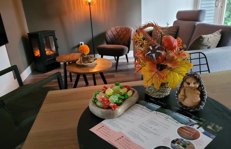 Gezellige binnenruimte van Vakantiehuis in Holten, Overijssel, met sfeervolle decoraties en comfortabele zithoek.