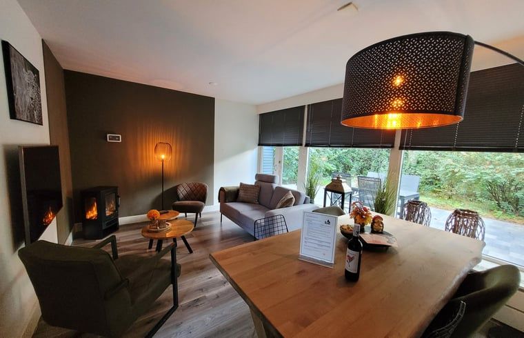 Gezellige woonkamer in Vakantiehuis in Holten, Salland, Overijssel met moderne inrichting en uitzicht op groene omgeving.