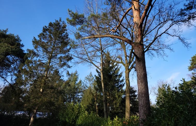 Verblijf 530258 - Vakantiewoning Salland - Vakantiehuis in Holten