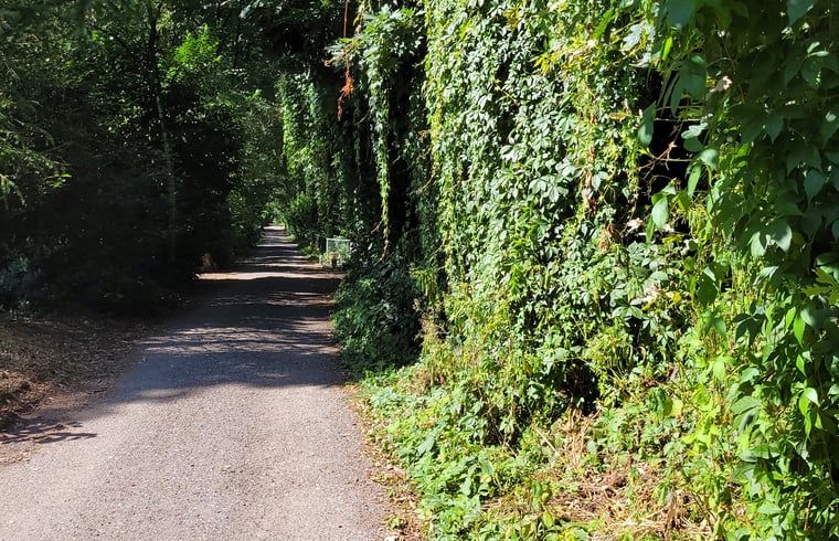 Verblijf 530258 - Vakantiewoning Salland - Vakantiehuis in Holten
