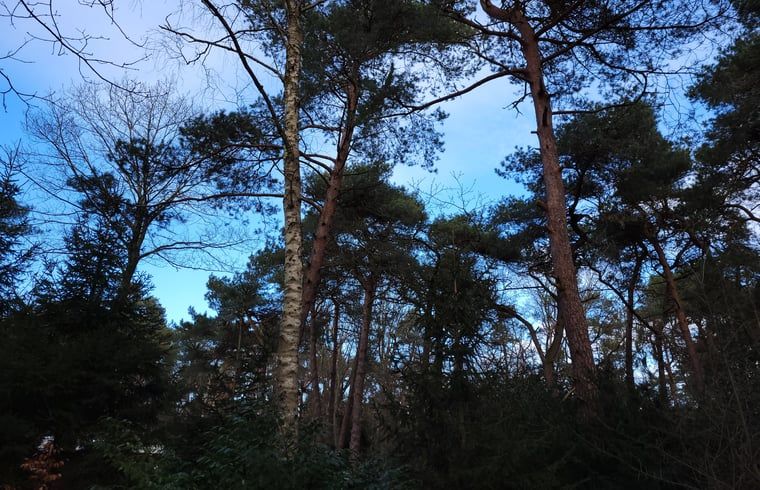 Verblijf 530258 - Vakantiewoning Salland - Vakantiehuis in Holten