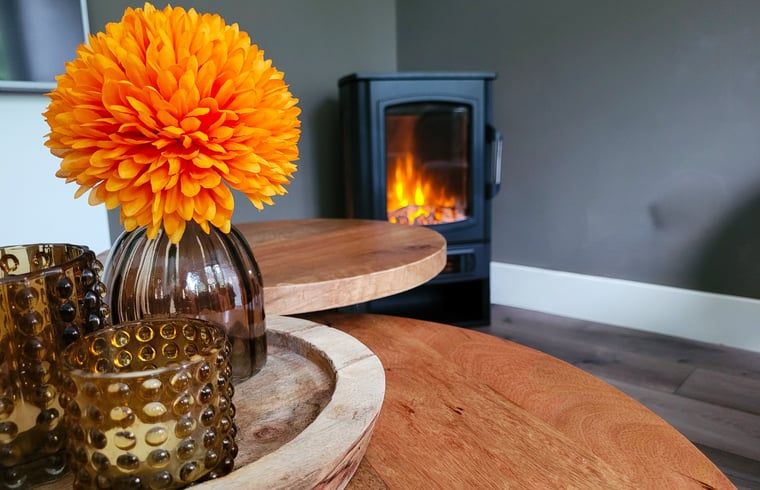 Verblijf 530258 - Vakantiewoning Salland - Vakantiehuis in Holten