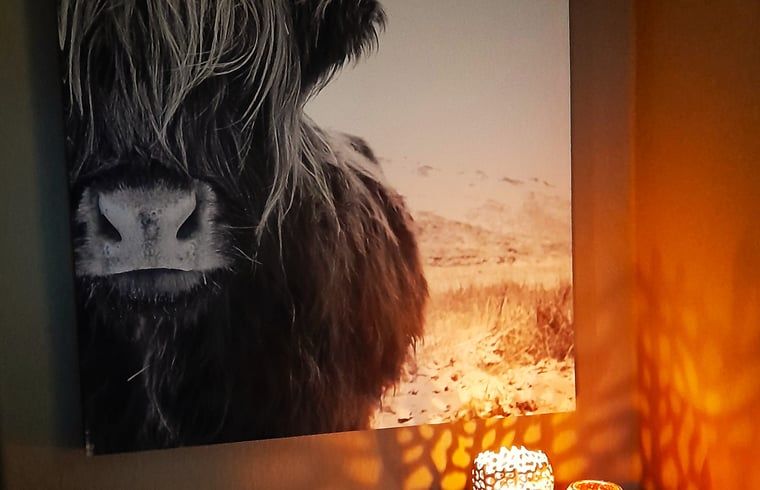 Verblijf 530258 - Vakantiewoning Salland - Vakantiehuis in Holten