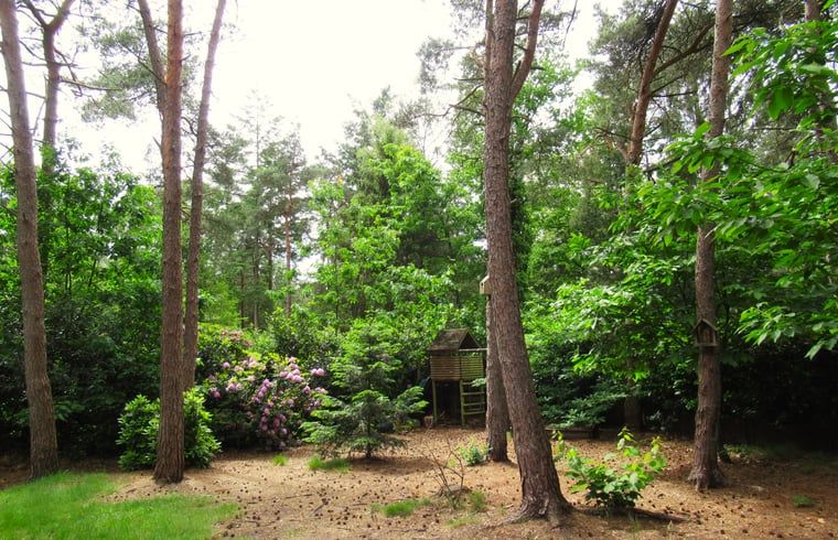 Verblijf 530258 - Vakantiewoning Salland - Vakantiehuis in Holten