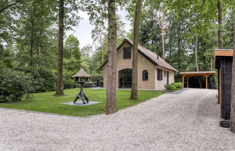 Ferienhaus in Holten, ein charmantes Ferienhaus inmitten der Natur in Salland, Overijssel, mit grossem Garten und rustikaler Atmosphaere.