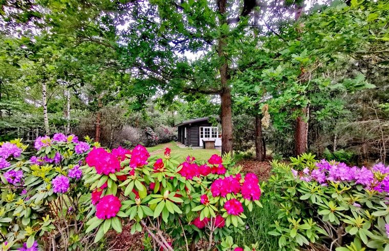 Unterkunft 530263 - Ferienhaus Salland - Vakantiehuis in Holten