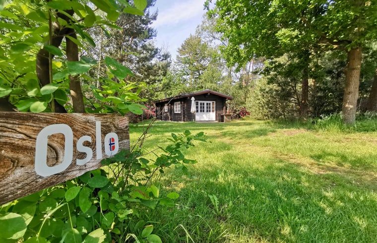 Unterkunft 530263 - Ferienhaus Salland - Vakantiehuis in Holten