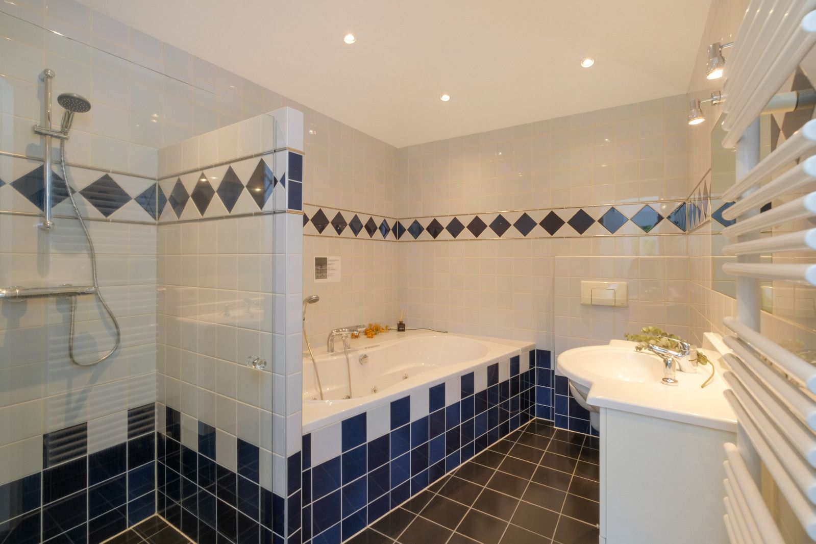 Unterkunft 530287 - Ferienhaus Salland - OV708