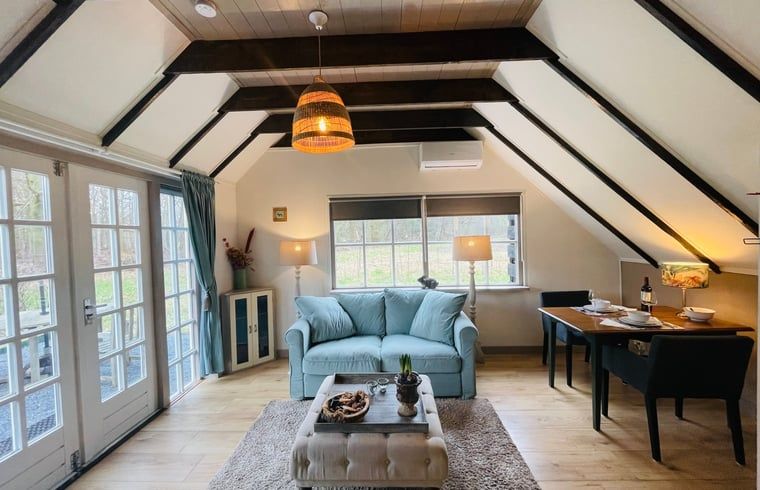 Gezellige woonkamer van Vakantiehuisje in Wijhe, Salland met comfortabele bank en eetruimte.