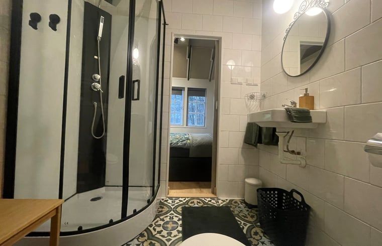 Moderne badkamer in Vakantiehuisje in Wijhe, Salland met stijlvolle douche en wastafel.