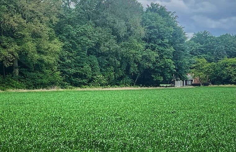 Uitzicht op groene velden en bossen nabij Vakantiehuisje in Wijhe, Salland, Overijssel.