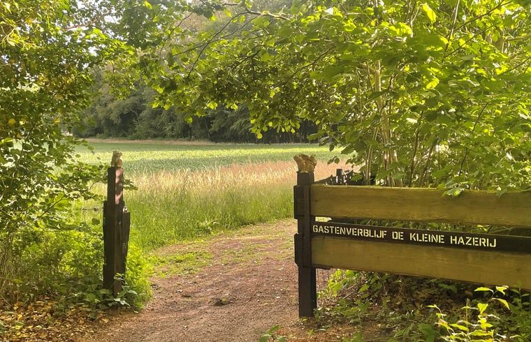 Toegangspad naar Vakantiehuisje in Wijhe, Salland omgeven door groene natuur in Overijssel.