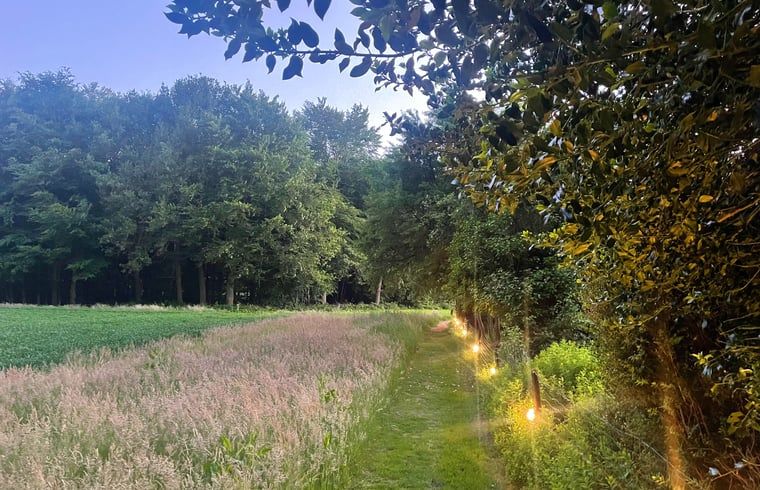 Verlichte avondwandeling langs de natuur bij Vakantiehuisje in Wijhe, Salland, Overijssel.