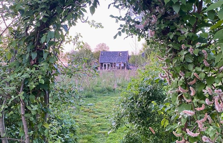 Natural surroundings of Holiday home in Wijhe, hidden in the green, Salland, Overijssel.