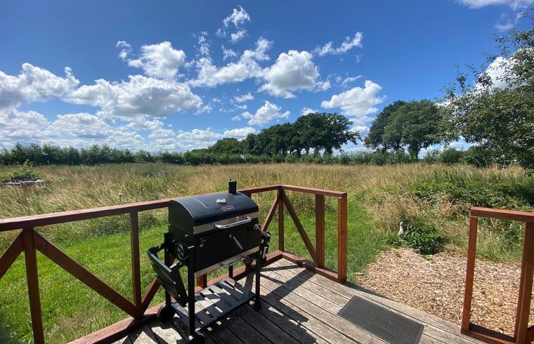 Barbecue on terrace with view at Holiday home in Wijhe, Salland, Overijssel.