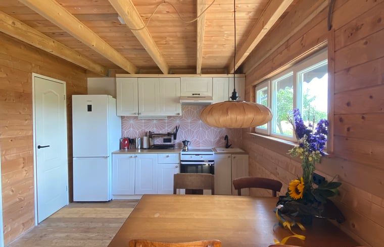 Modern kitchen in Holiday cottage in Wijhe, located in Salland, Overijssel.