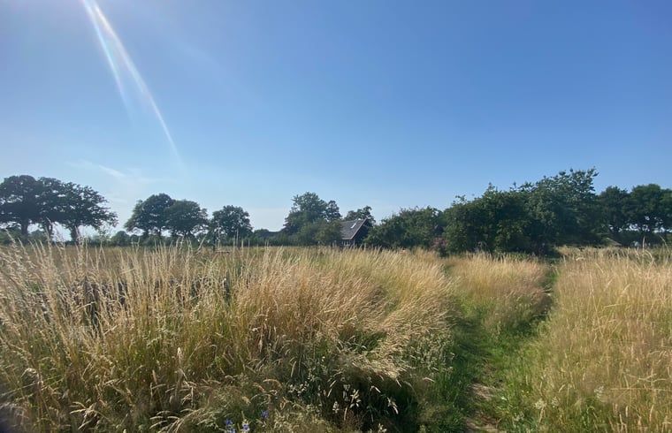 View of nature around Holiday home in Wijhe, Salland, Overijssel.